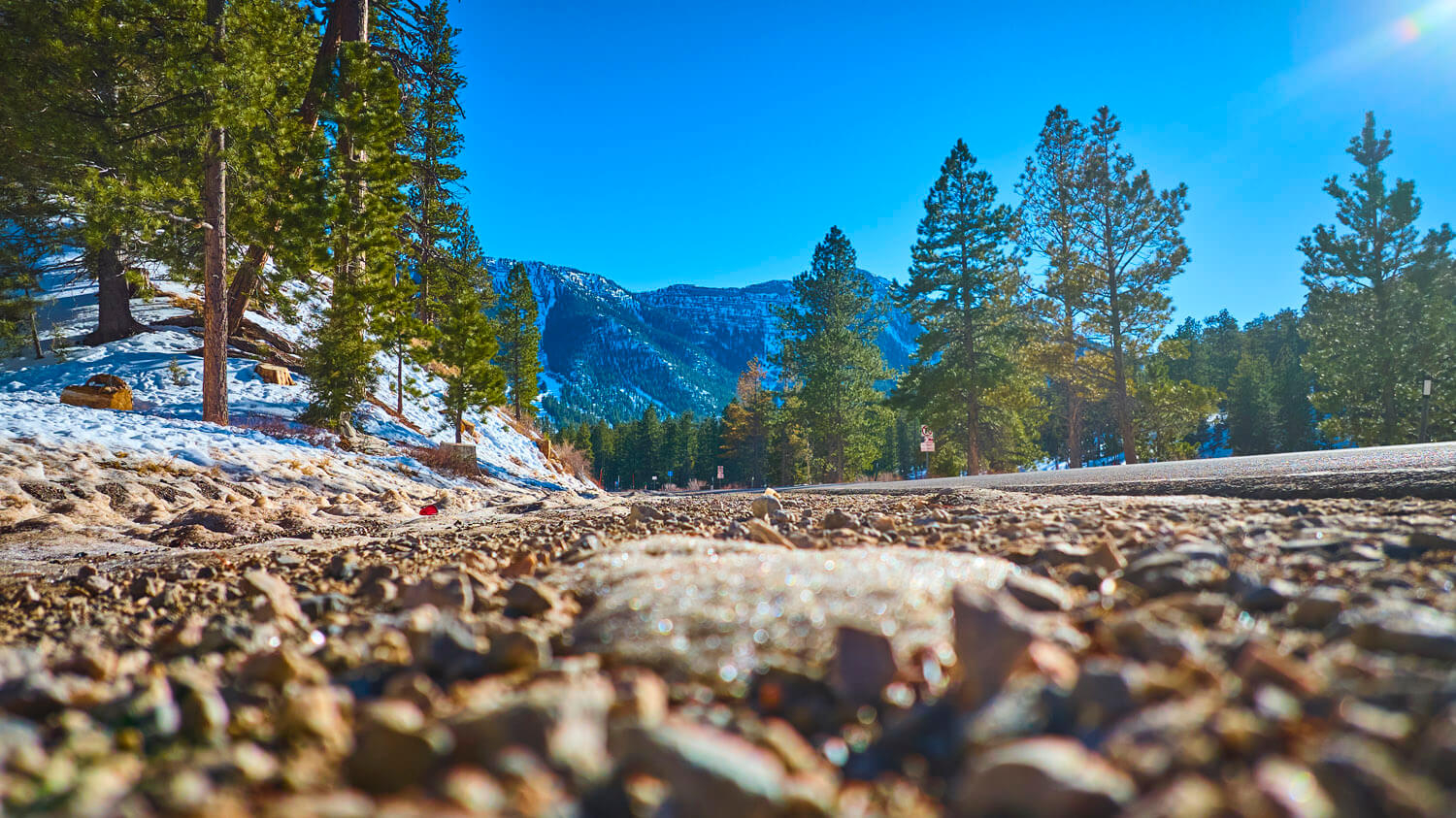Mt Charleston in Nevada